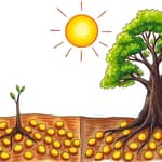 Small vs. Large Cap: Which Investments Are Right for You?